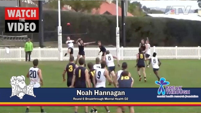 Adelaide Footy League Round 6 Goals of the Week