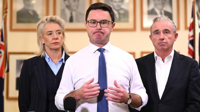 Nationals Leader David Littleproud, Nationals Deputy Leader Kevin Hogan and Nationals Senate Leader Bridget McKenzie speak to the media during a press conference at Parliament House in Canberra. Picture: AAP Image/Lukas Coch