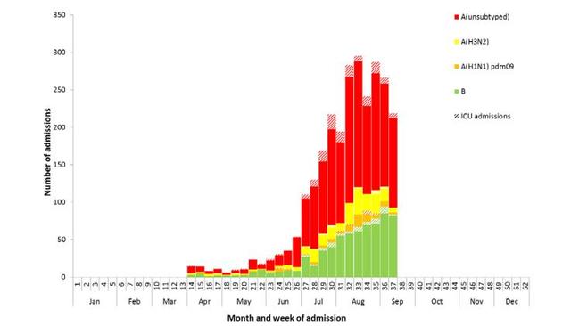 Flu In Australia: Children Suffering In Record-breaking Epidemic | News ...