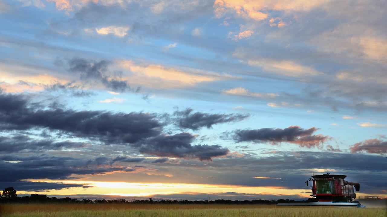 Rice growers report bumper harvest