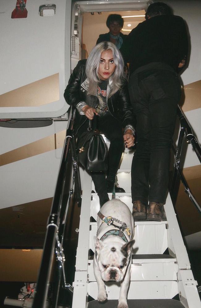 Lady Gaga with one of her pooches. Picture: @ladygaga/Instagram