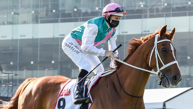 Finche is expected to be right in the Melbourne Cup mix. Picture: Getty Images
