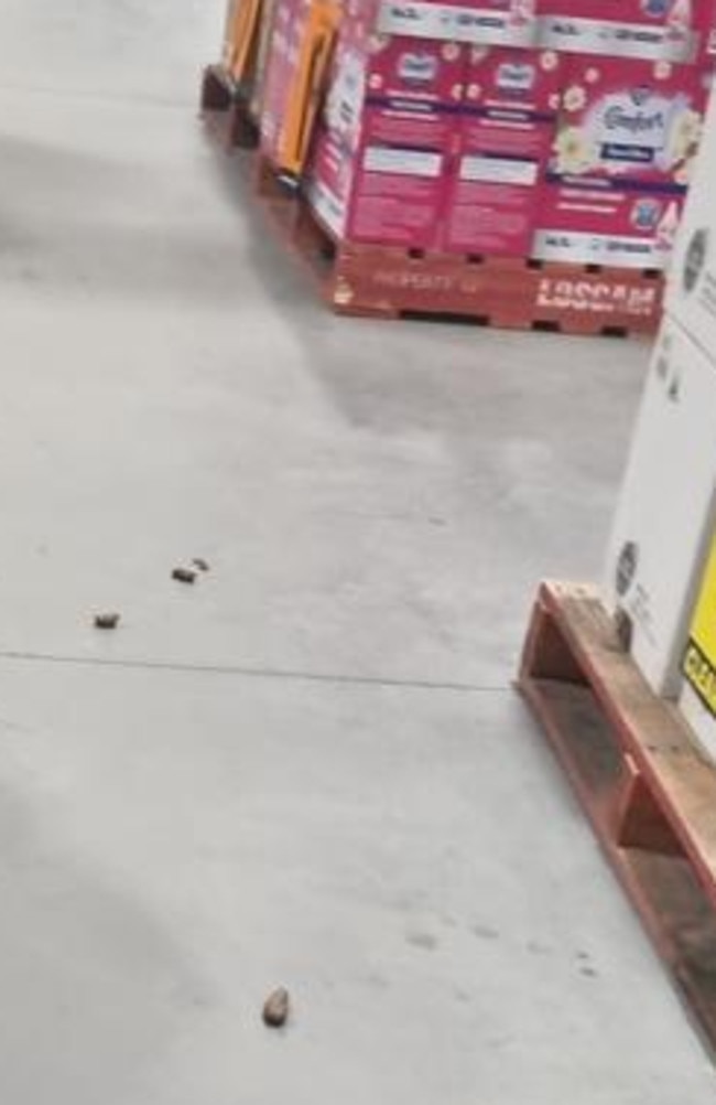 Earlier in the year, Bunnings shoppers were left disgusted after seeing dog poo left on the floor. Picture: Supplied