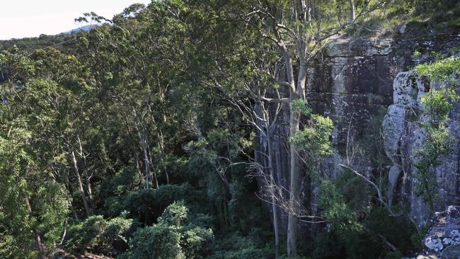 A section of The Grotto Reserve bushwalking area in North Nowra where police discovered the body of schoolgirl. Picture: Richard Dobson