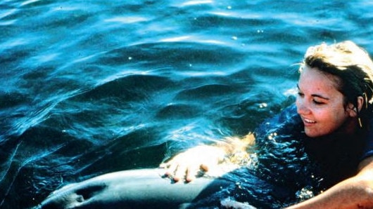 Melody: “These close-ups show how this beautiful, powerful mammal and I connected closely. Our bond was instant. He let me and other research assistants explore his dorsal fin and back. Dolphins spend lots of time touching one another. It still seems miraculous to me that he allowed us to have such close encounters with him.” Pictures: Mike Bossley