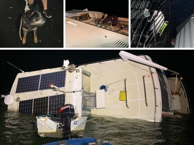 Pinned, freezing, close to death: Frantic race to save dog from capsized houseboat