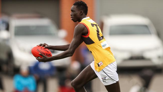 Andrew’s manager is the brother of Norm Smith medallist Christian Petracca. Picture: AFL Photos