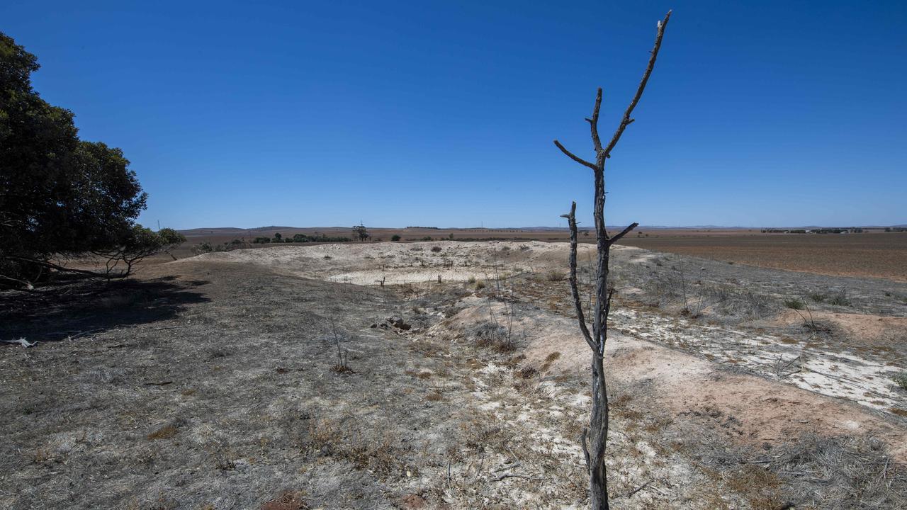 An empty dam in the drought-affected Mid North in March, 2025. Picture: Mark Brake