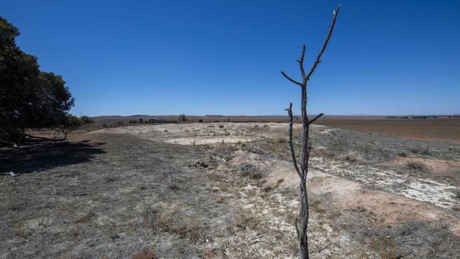 An empty dam in the drought-affected Mid North in March, 2025. Picture: Mark Brake