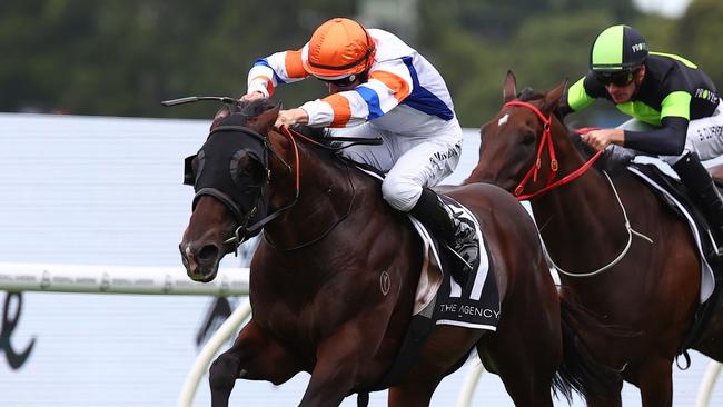 George Ryder Stakes winner Veight is likely to return to Sydney for the $10m Golden Eagle on November 2. Picture: Getty Images.