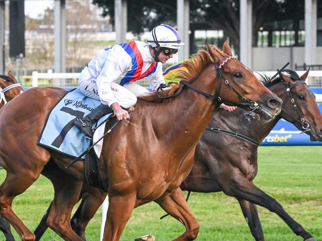 Stanley Express ridden by Luke Nolen wins the The TBV VOBIS Platinum Showdown at Caulfield Racecourse on April 27, 2024 in Caulfield, Australia. (Photo by Reg Ryan/Racing Photos via Getty Images)