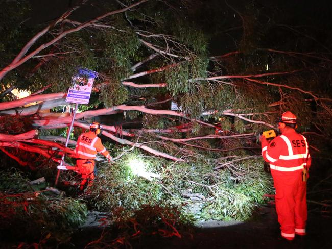 SES tended to a fallen tree in Woodstock Ave, Whalan last night. Picture: Bob Barker.