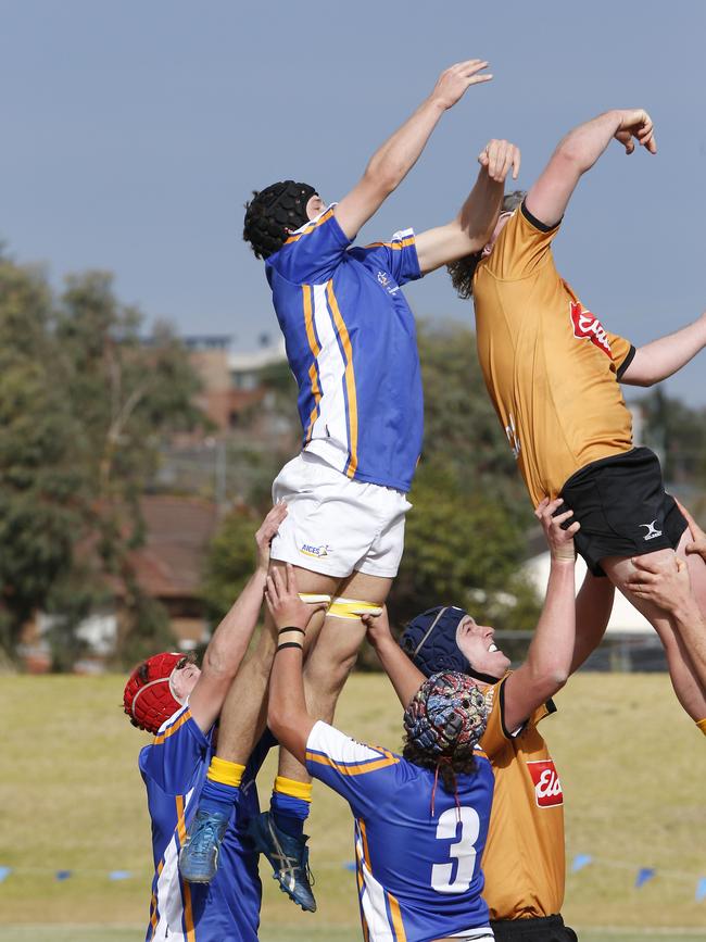 AICES (blue and white) v NSW Country (Orange).