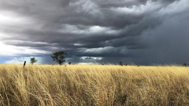 Welcome Rain: East Gippsland is expecting to receive 50mm to 150mm of rainfall over the weekend, according to the BOM.