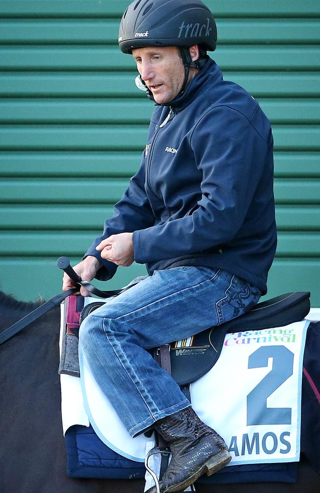 Damien Oliver will miss the ride on Vadamos in the Cox Plate on Saturday week. Picture: Mark Stewart