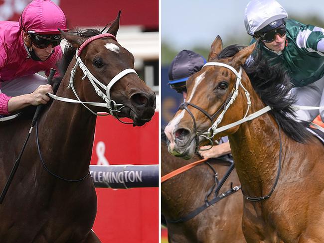 Brilliant mares Fangirl (left) and Via Sistina are on a collision course for next month's Group 1 Winx Stakes.