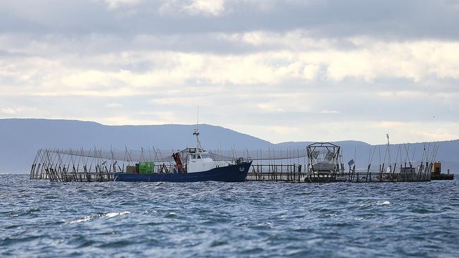 Huon Aquaculture salmon pens east of Bruny Island. Picture: SAM ROSEWARNE.