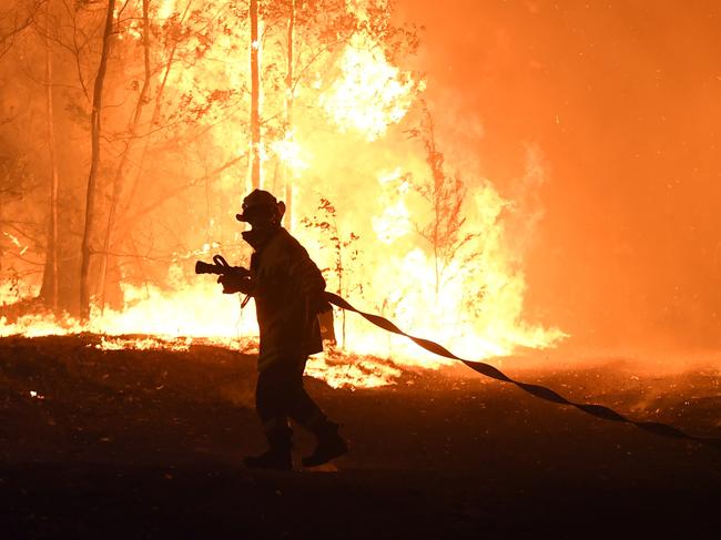 Cruel fact about devastating bushfire