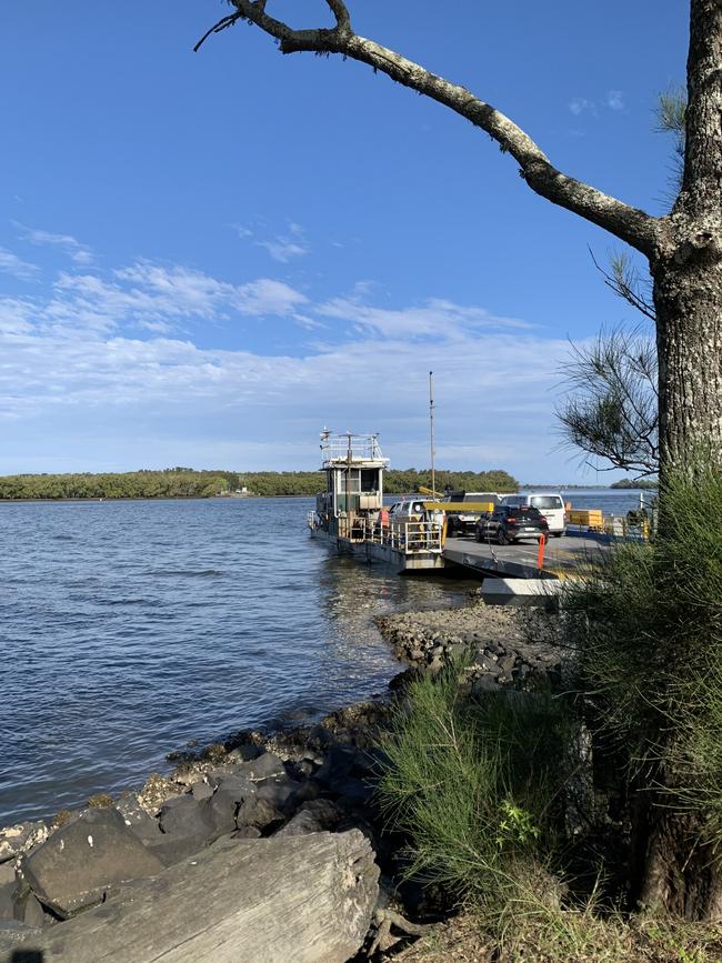 A humpback whale and calf have been taking shelter in the Richmond River at Ballina.