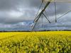 Sold: Two SA farms snapped up in major deals