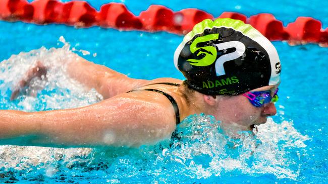 The racing action has kicked off in style at the SA Short Course Swimming Championships. Picture: Mel Faull/Get Snapt