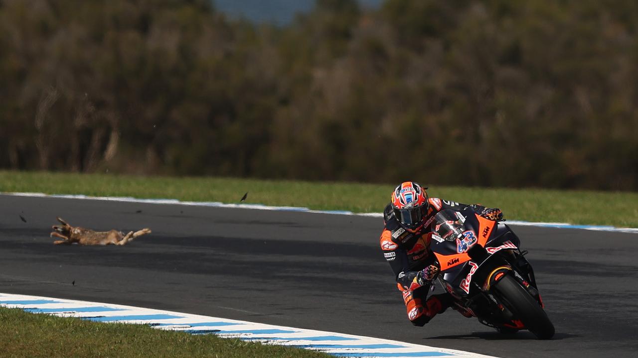 Jack Miller of Australia and the #43 Red Bull KTM Factory Racing is seen after hitting a rabbit during qualifying ahead of the MotoGP Of Australia. Picture: Robert Cianflone/Getty Images