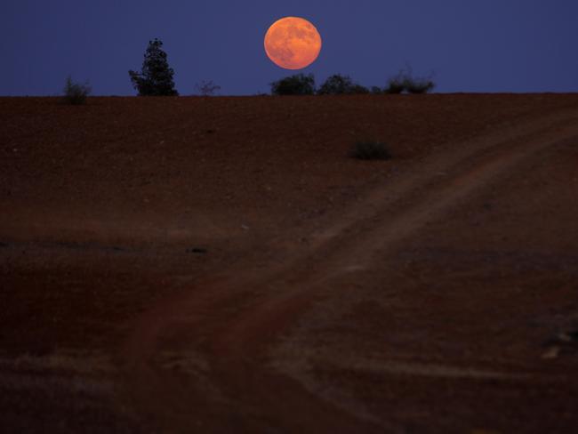 The moon rises over the fields in Cyprus. AP Photo/Petros Karadjias