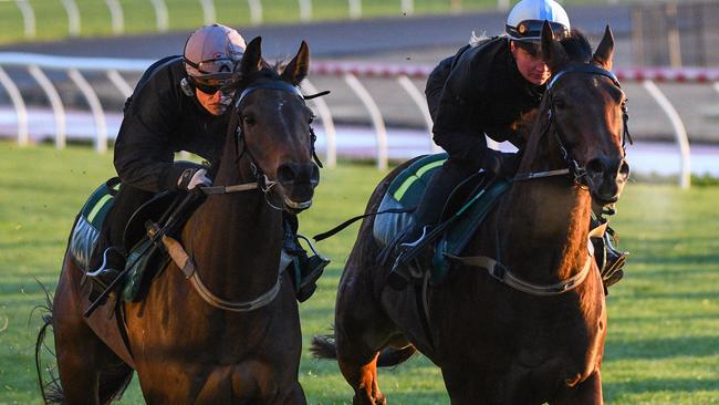 Stablemates Harlem and Sikandarabad will clash again in the Feehan Stakes. Picture: AAP