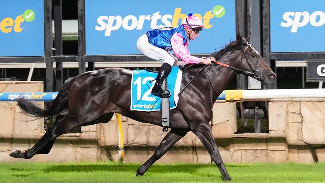 Gallant Prince scores at Pakenham on March 15. The Clayton Douglas-trained colt can notch his third career victory at Sandown Lakeside on Wednesday. Picture: Scott Barbour / Racing Photos