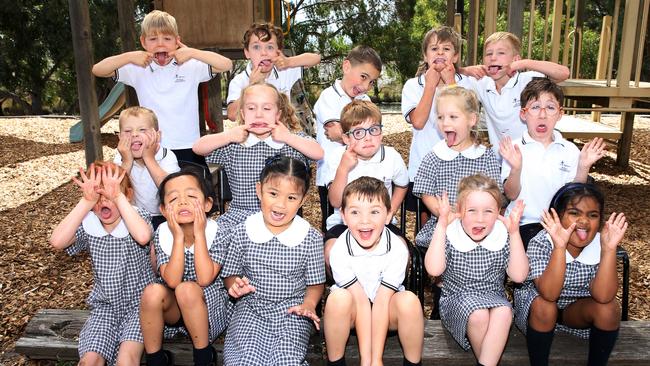 St Thomas Primary School Prep Andrea Back row L-R: Isaac Howlett, Beau Dunn, Ari Ihimaera-Smiler, Asher Carlon, Murphy Jones. Middle row: Tyler Kinsey, Ava Pratt, Harry Arnott, Olivia Bennett, Jude Cuthill. Front row: Evie Carty, Aurora Yabut, Caitlyn Angeles, Harry Tottle, Lucy Hobbs, Serah Joseph.