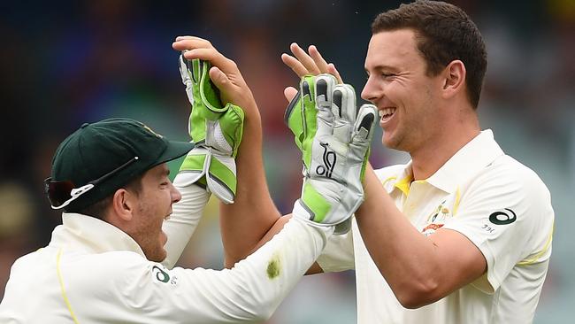 Josh Hazlewood bowled 43 overs in a busy Adelaide Test performance.