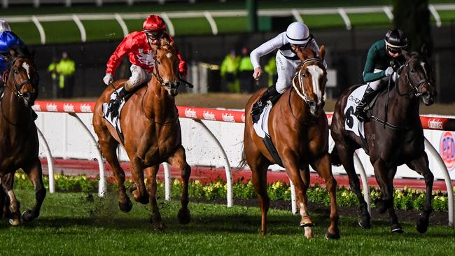 Damian Lane gets to work on Pippie in the Group 1 Moir Stakes. Picture: Pat Scala – Racing Photos via Getty Images