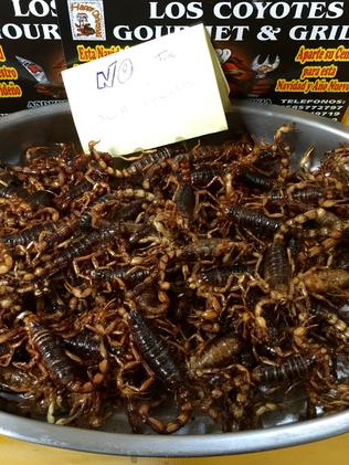 Scorpions for sale at the San Juan market. Picture: Leah McLennan