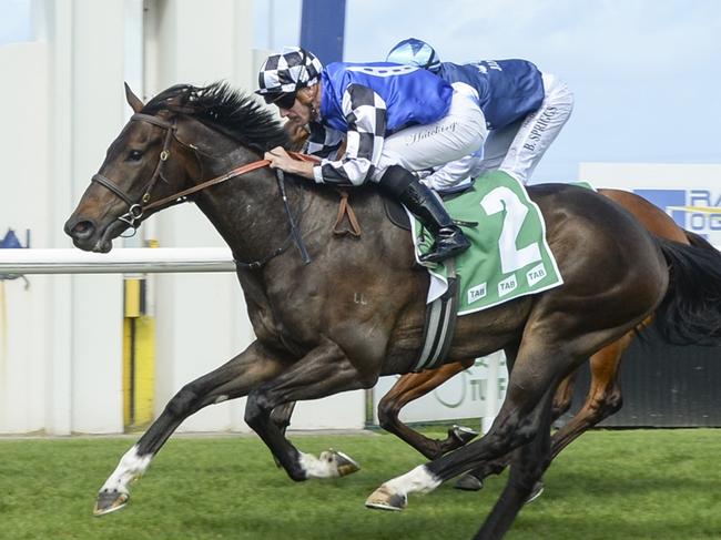 Smashing Time wins impressively at Kembla Grange on October 12. Picture: Bradley Photos