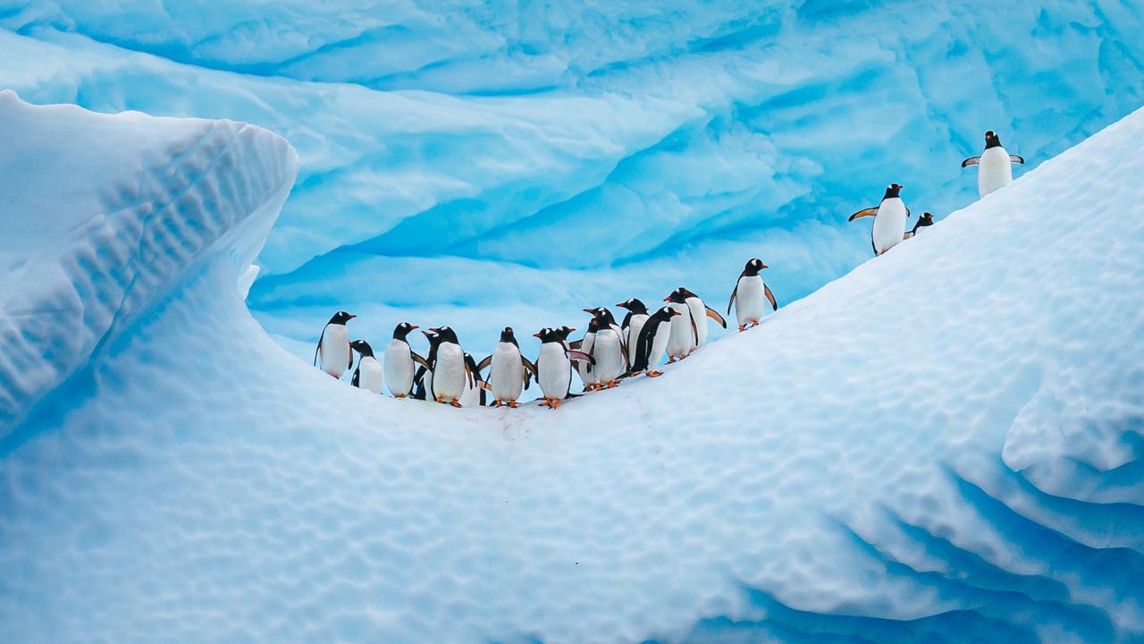 Where will mankind’s destructive impulses lead us?