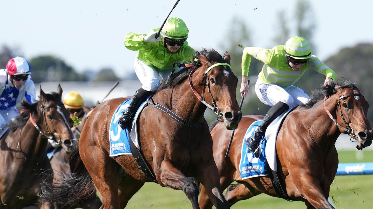 Berkeley Square could press his claims for an Adelaide or Melbourne Cup preparation in the Queen Elizabeth Stakes. Picture: Racing Photos via Getty Images