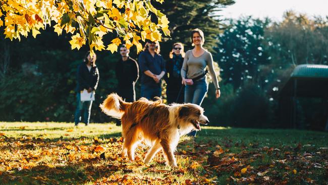 Ina Ansmann and truffle dog Cody at The Truffledore ahead of the TrailGraze weekend 2024. Trail Graze weekend. Picture: Jasper Da Seymour