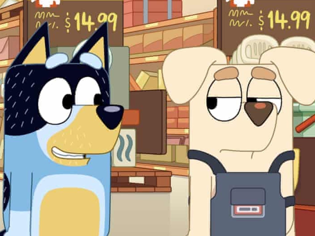 I've learnt a lot from Bluey, but can the show be more representative? -  ABC Everyday
