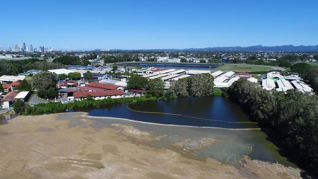 The last corner of the lake where some wildlife remains. Picture: Glenn Hampson.