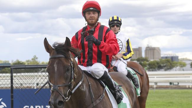 Compelling Truth comes to Doomben on Saturday with a three-kilogram claim. Picture: Bradley Photos