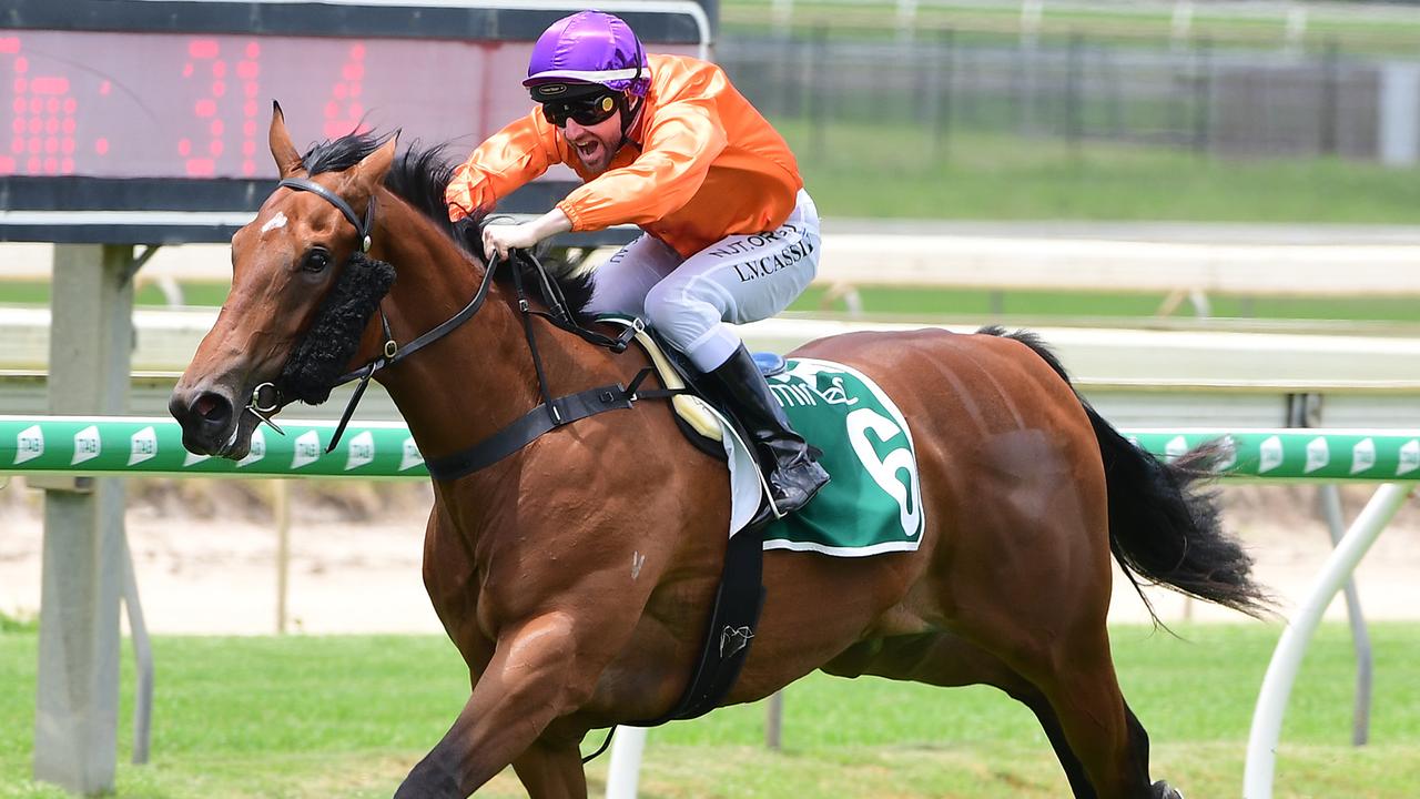 Miss Hipstar winning at Doomben. Picture: Trackside Photography