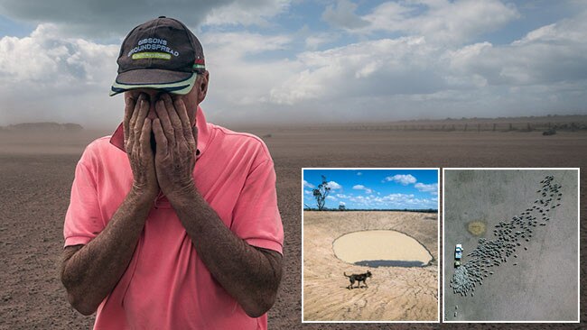 Gippsland farms parched by worst drought in a century