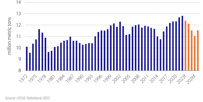 US cows to begin cyclical four-year cow decline from next year. Via Rabobank