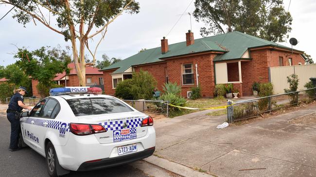 Ms Luis was stabbed at her home on Goodman Ave, Kilburn. Picture: Keryn Stevens