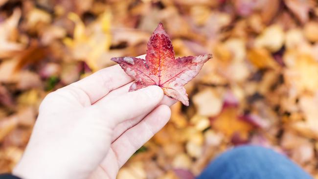 How to shoot for social media. Picture: Lauren Bath