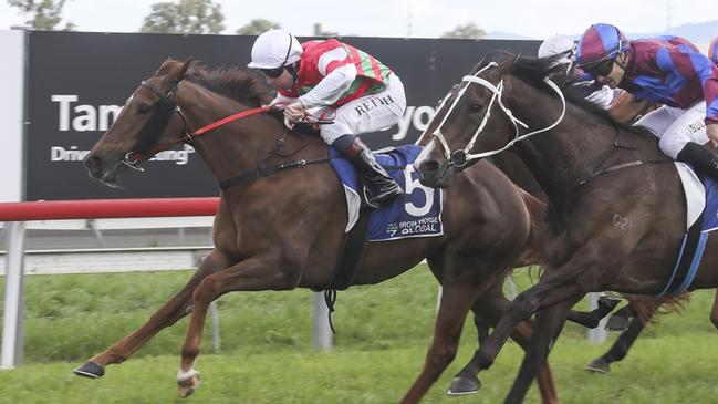 Lightly-raced mare Russley Tiara looks a great chance at Muswellbrook. Picture: Bradley Photos