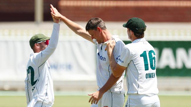 Webster has been in outstanding form for Tasmania the past two seasons, a main reason behind their undefeated start to the Sheffield Shield season this summer. (Photo by Graham Denholm/Getty Images)