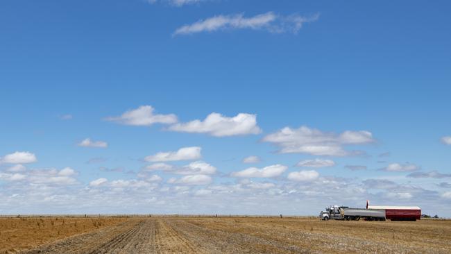 The 2023 lentil harvest at Marnoo. Picture: Zoe Phillips