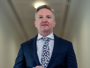 Chris Bowen represents the seat of Picture: NCA NewsWire / Gary Ramage