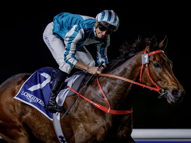 Romantic Warrior racing to group 1 glory in Dubai